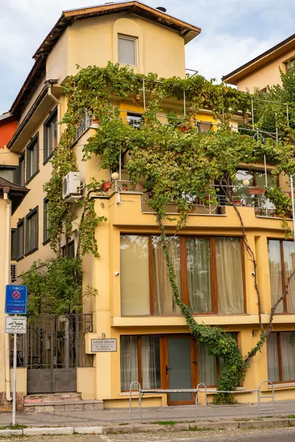 PULDIN HOUSE guest house covered in greenery